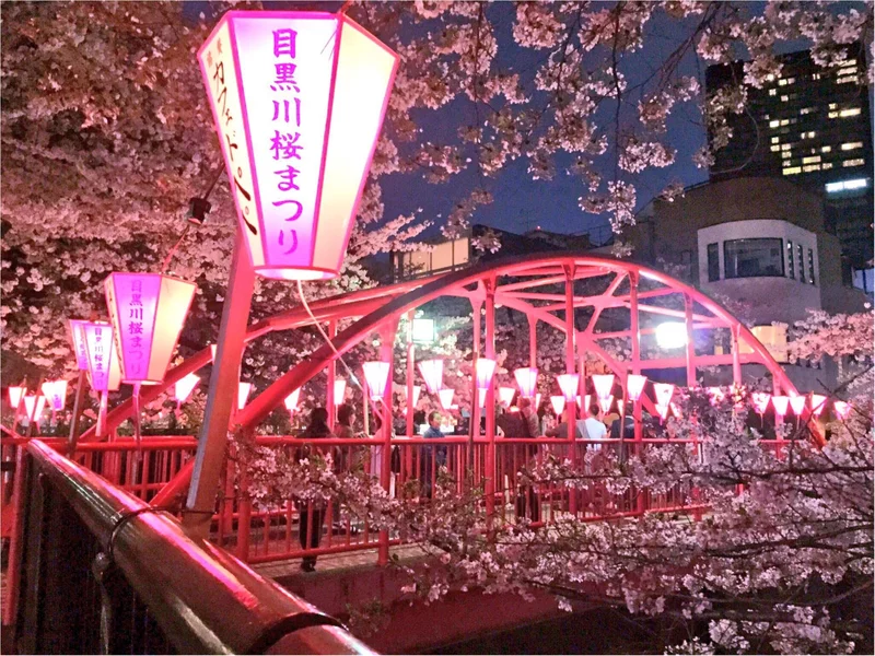 ♡りぃおすすめ！都内の夜桜スポットBESの画像_2