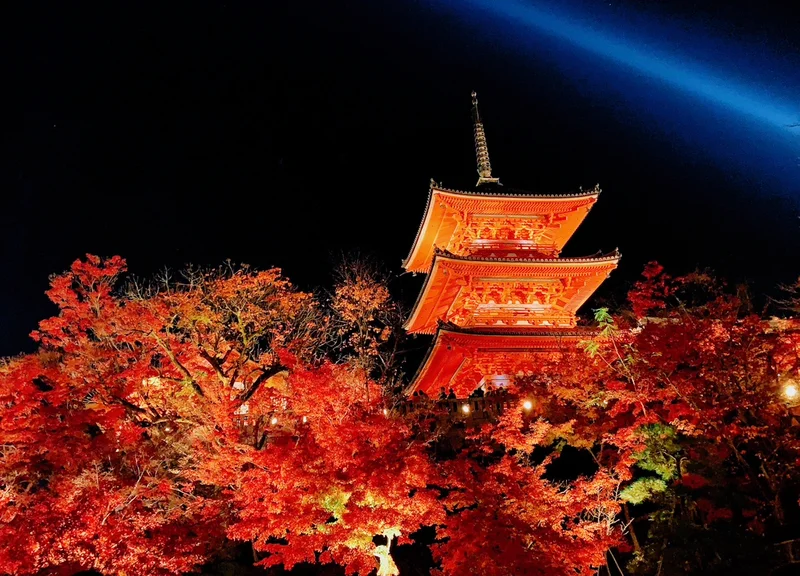 【永久保存版】京都の紅葉ベスト 3選の画像_5