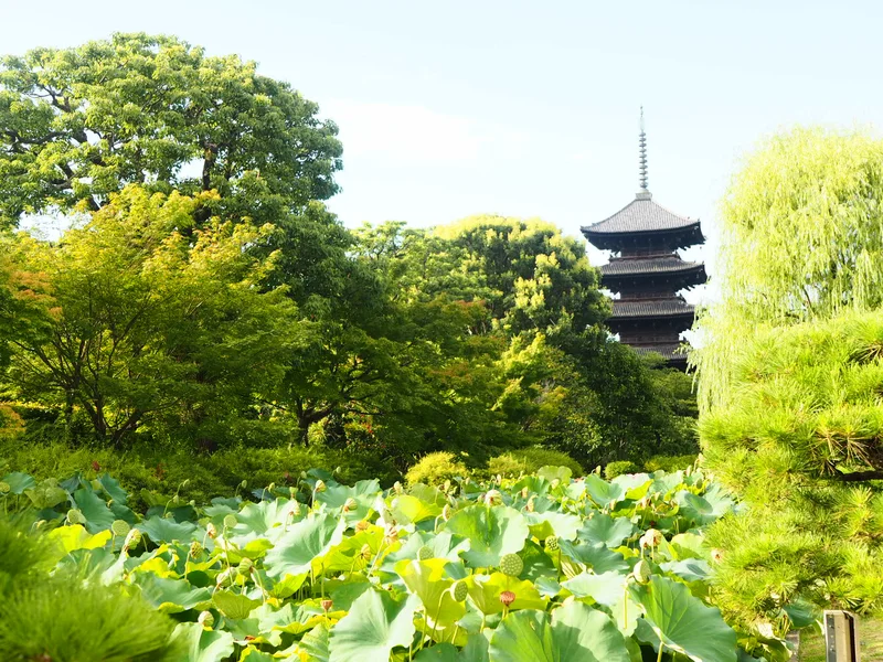 【OMO3京都東寺（おもすりー） by の画像_41