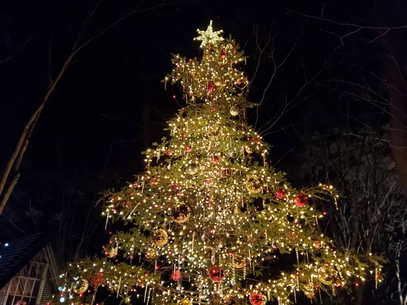 星野リゾート軽井沢ホテルブレストンコートのクリスマスツリー