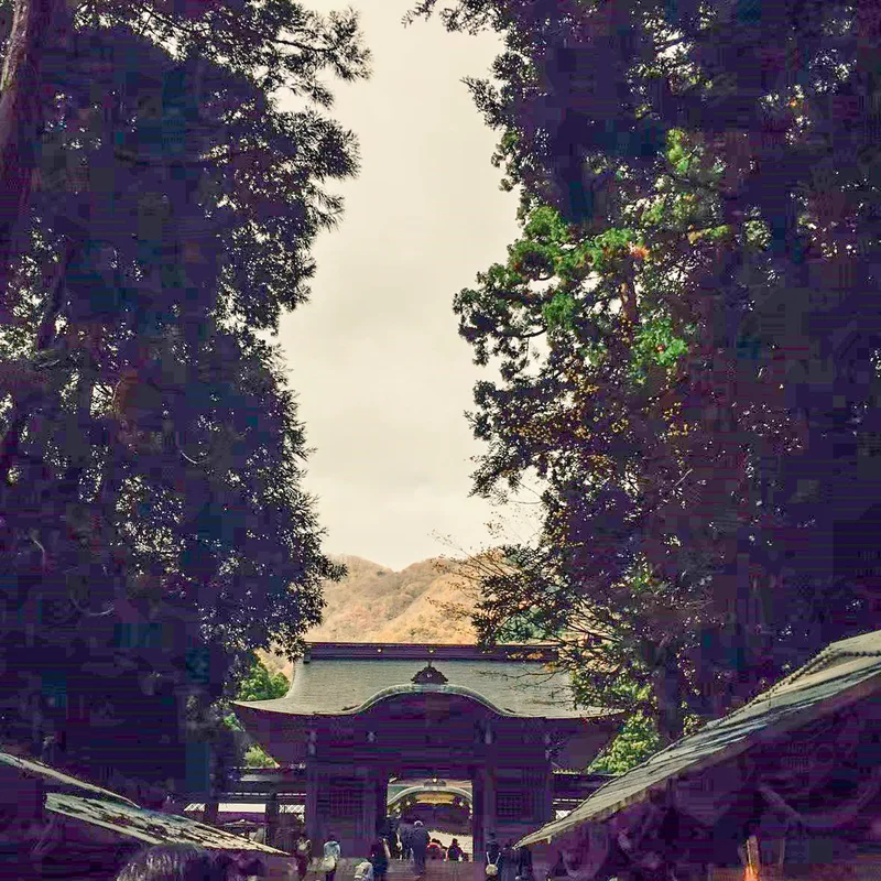 弥彦神社　彌彦神社　手水をとって清めた後、二の鳥居（石の鳥居）をくぐり、その先の石段を登り、随神門を通る前に立ち止まり、軽く一礼します。  随神門を通ると拝殿が見えて来ますよ。