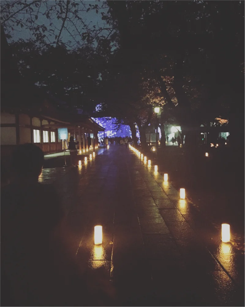 【靖国神社ライトアップ】秋の夜長参拝イベの画像_6