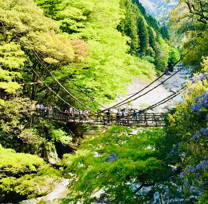 徳島県・三好の絶景スポット「祖谷のかずら橋」