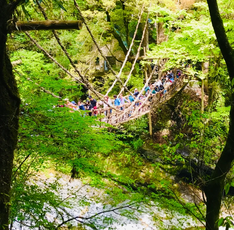 【女子旅におすすめ】徳島県に来たら外せなの画像_1