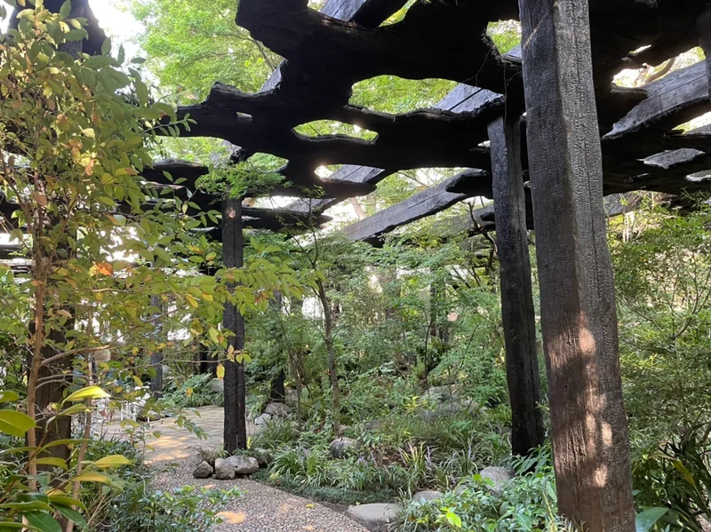 【アート】《パビリオン・トウキョウ2021》建築家・石上純也の「木陰雲」を楽しむ3つのポイントを解説！