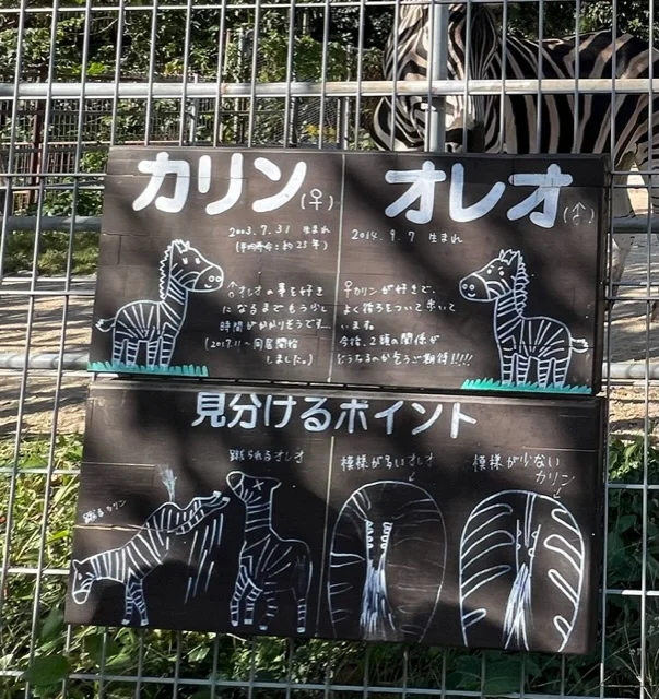 【長崎】佐世保市の動植物園へ行ってきたよの画像_12