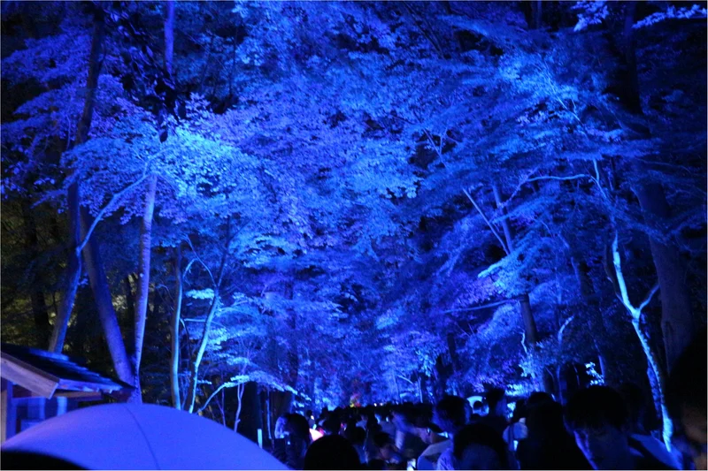 【京都】下鴨神社のライトアップで幻想的なの画像_2
