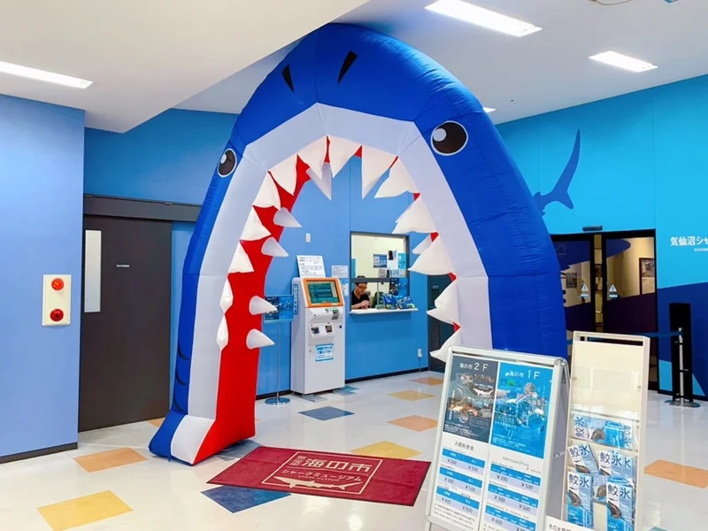 入口のサメの写真