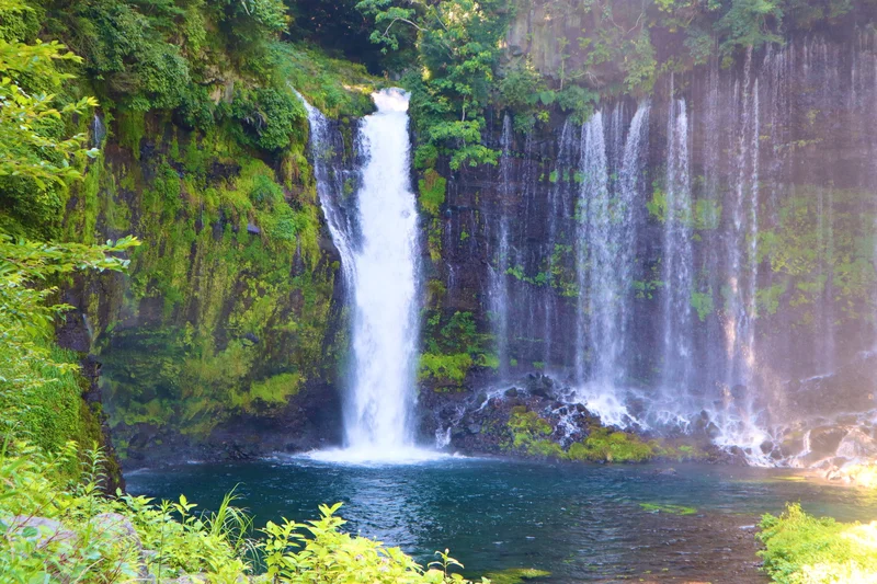 【静岡県】地元のおすすめスポットをご紹介の画像_3