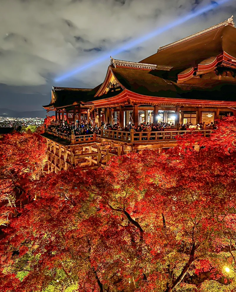 【京都観光】清水寺の紅葉ライトアップの画像_2