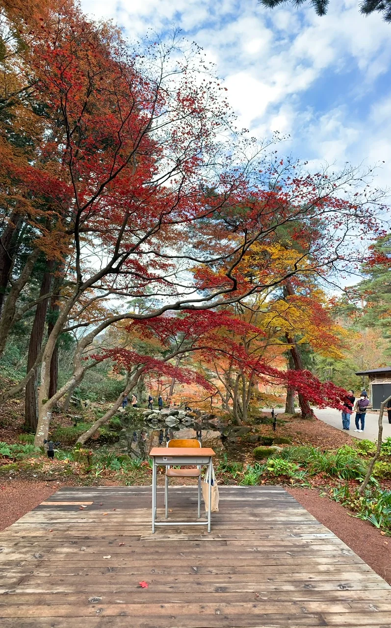 新潟観光　弥彦公園　弥彦公園もみじ谷　見どころ　弥彦公園トンネル　新潟ドライブ　映えスポット