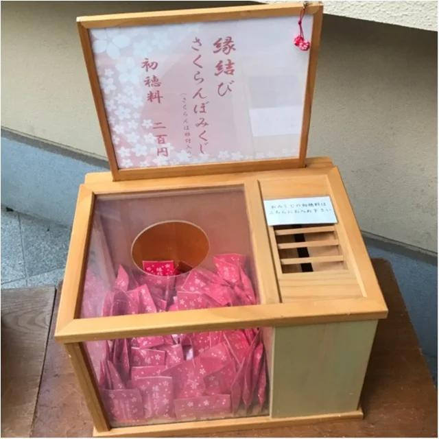 【東京パワースポット巡り】赤坂氷川神社での画像_1