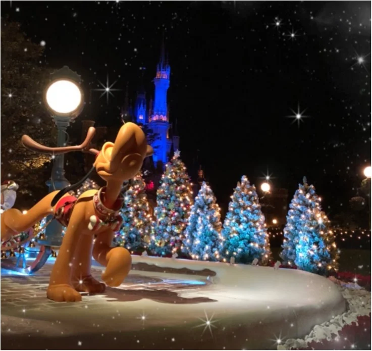 【ディズニー・クリスマス】夜のパークの楽の画像_9