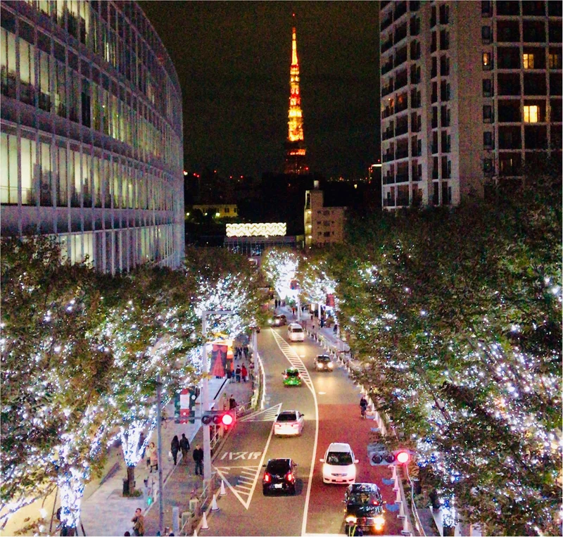 六本木の冬の風物詩【けやき坂イルミネーション】東京タワーとのコラボが幻想的♡