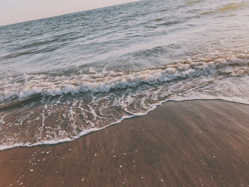 浜辺の波の写真