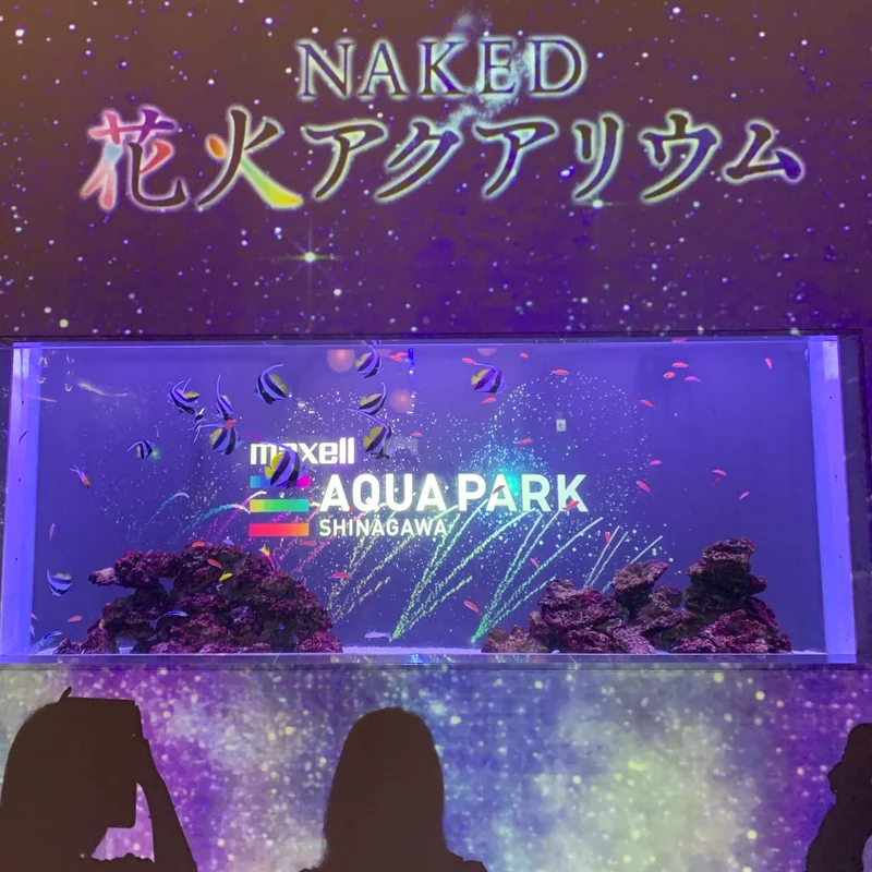 【写真多めに紹介】NAKED 花火アクアリウムに駆け込み参加！