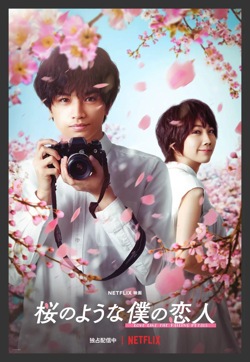 ついに配信開始！『桜のような僕の恋人』で中島健人×松本穂香が演じる「宝物のような物語」