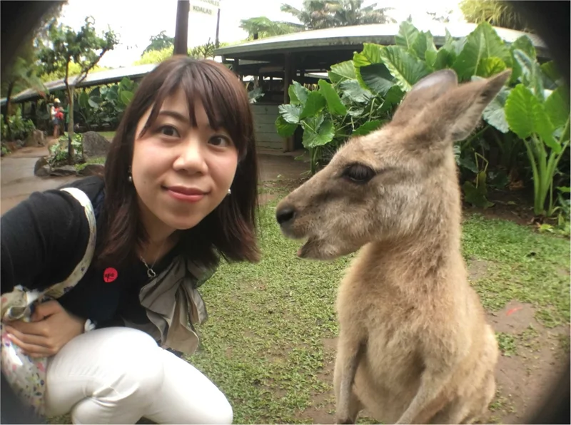 Cairns Australia♡夏休みの画像_2