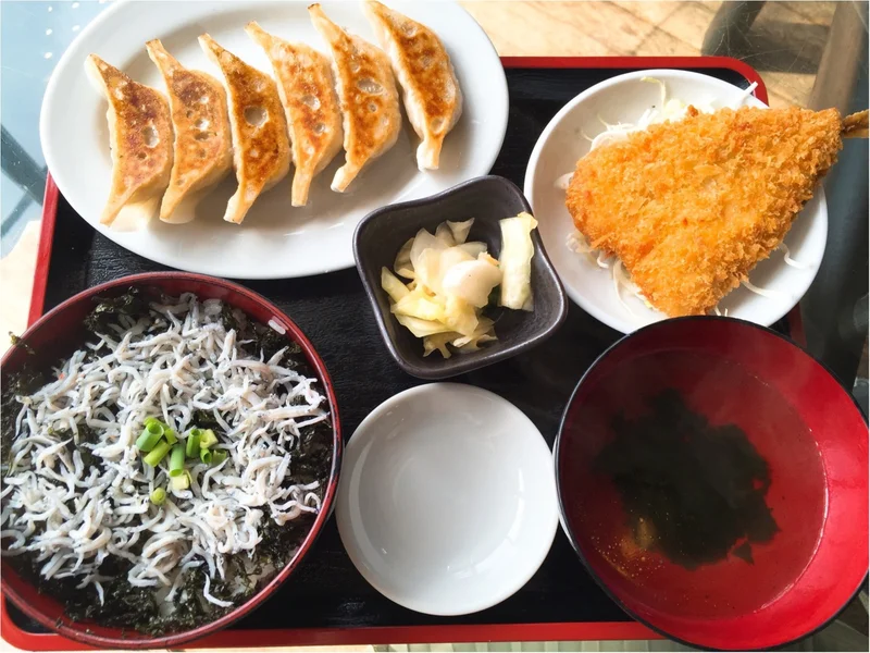 【神奈川・葉山】中華街重慶飯店元料理長が作る「葉山餃子＆しらす丼」を堪能♩≪samenyan≫