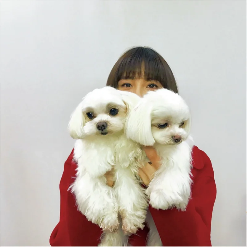 【お疲れの時のリフレッシュ方法は？】篠田麻里子ちゃんは、愛犬たちと遊ぶこと！