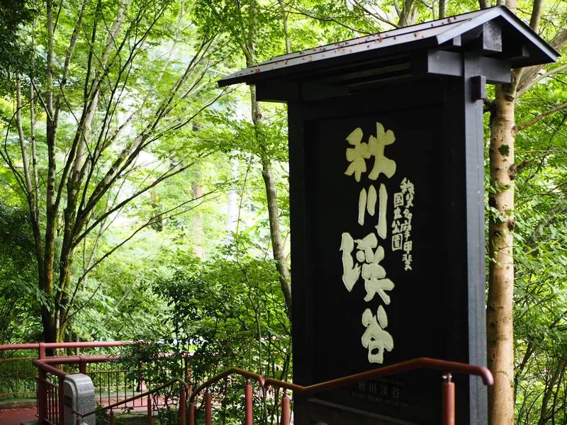 【関東日帰り旅】東京の大自然の中で味わうの画像_1