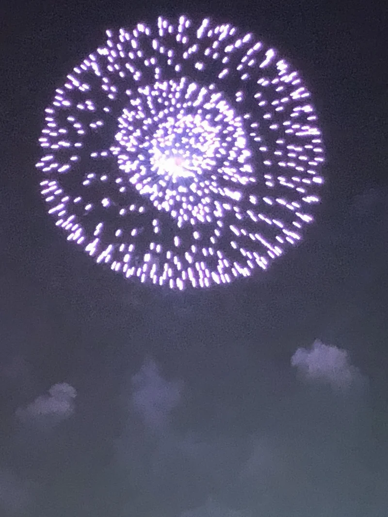 夏ですね！花火祭り。神戸の夜に素敵な華♡の画像_2