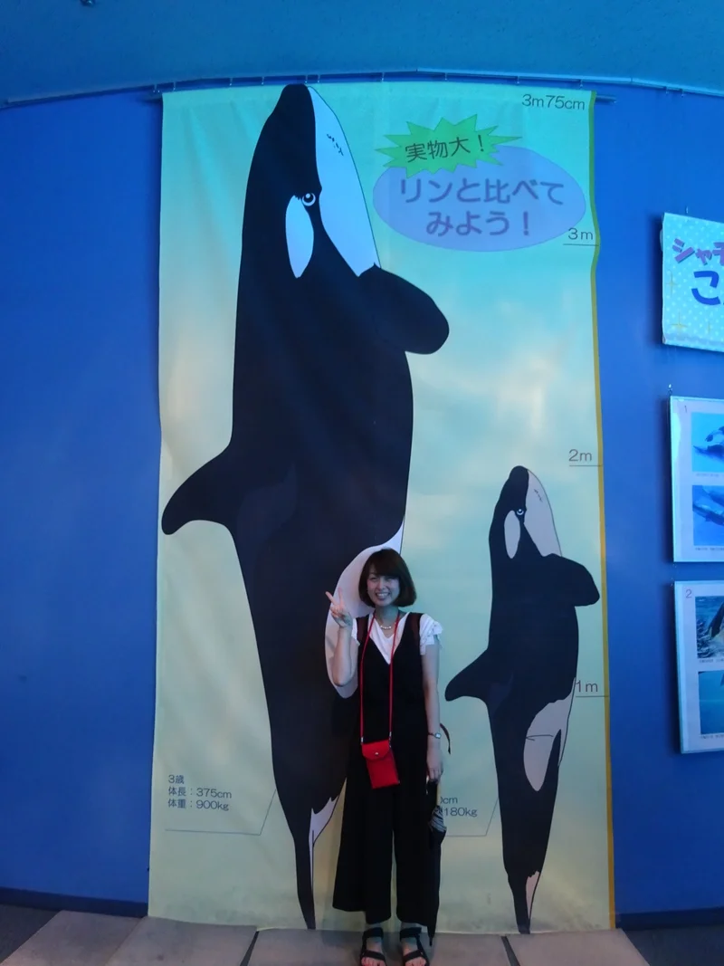 おさよ:夏休みは、名古屋港水族館がオススの画像_3