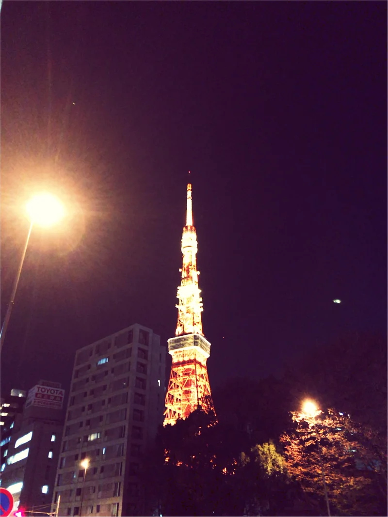 東京散歩～東京タワーのプロジェクションマの画像_1