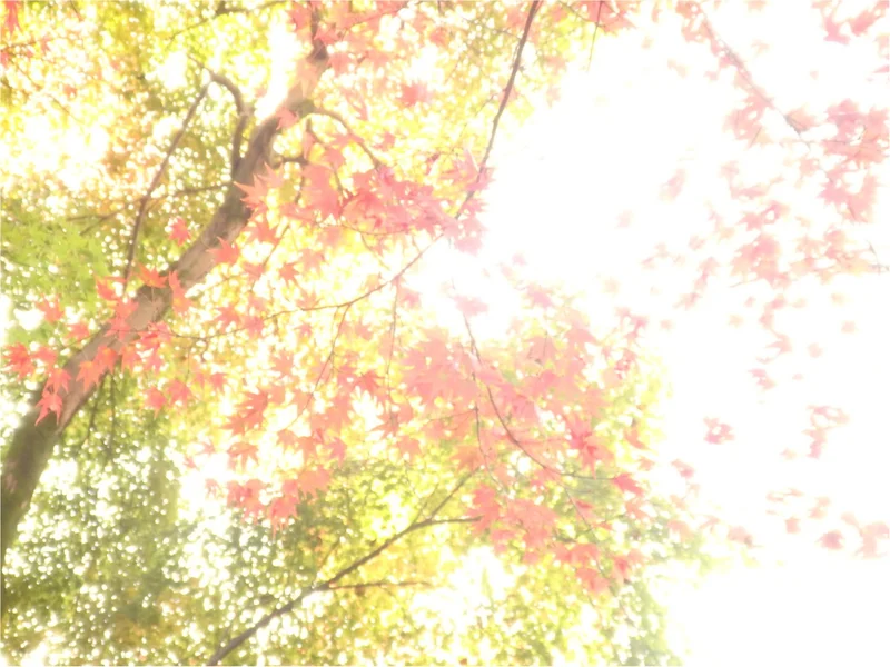 【イケメン地蔵】話題の岐阜で秋を満喫♪の画像_6