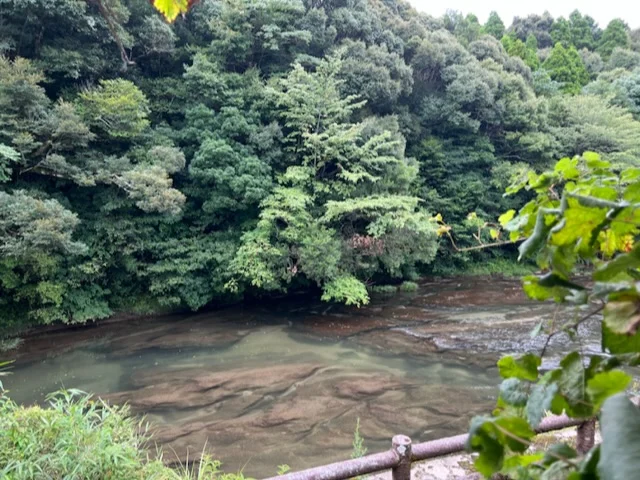 鹿児島旅行♡行った所、食べたもの♪の画像_3