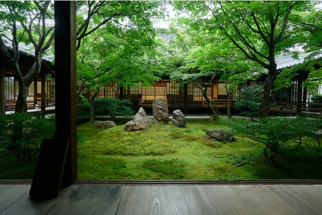 「そうだ 京都、行こう。」のCM舞台「建仁寺」