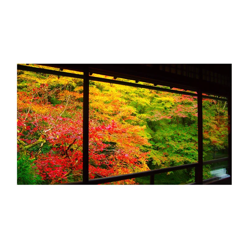 京都のインスタ映え紅葉スポットは『瑠璃光院』!! 人数制限ありなのでお早めに♡ 今週の「ご当地モア」ランキング！