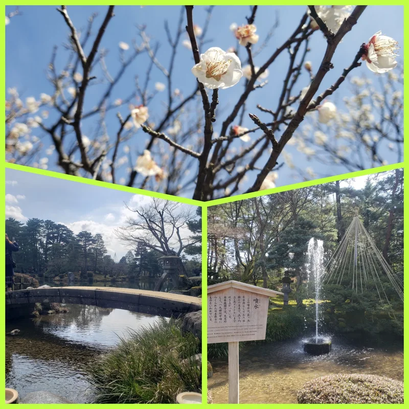 桜の名所・隅田公園はスカイツリーも！ サの画像_2