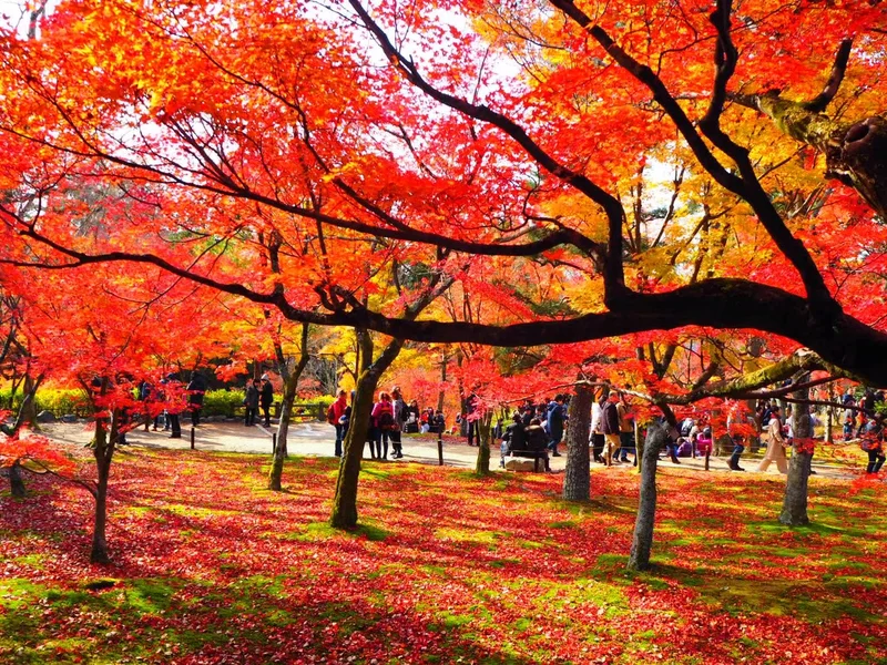 【女子旅におすすめ】京都で体験して最高だの画像_14