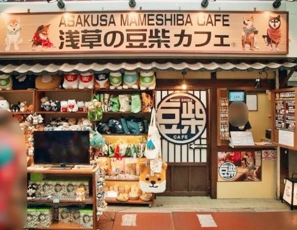 わんこ好きにおすすめ♡浅草の豆柴カフェにの画像_1