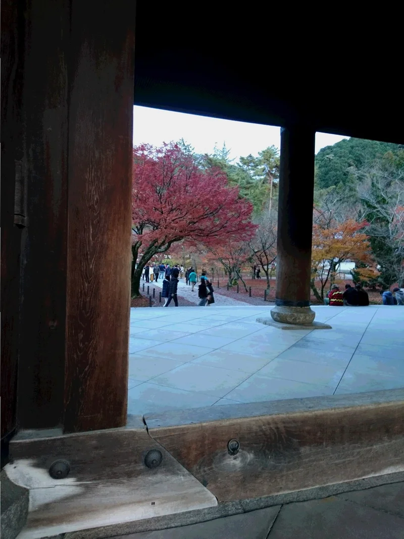 今が見ごろ！関西の紅葉スポット【京都】秋の画像_2