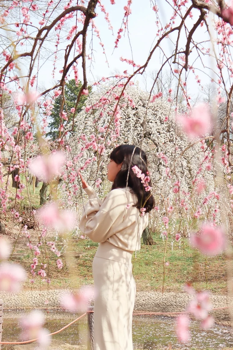 【絶対に失敗しない】春に行きたい神奈川県の画像_3