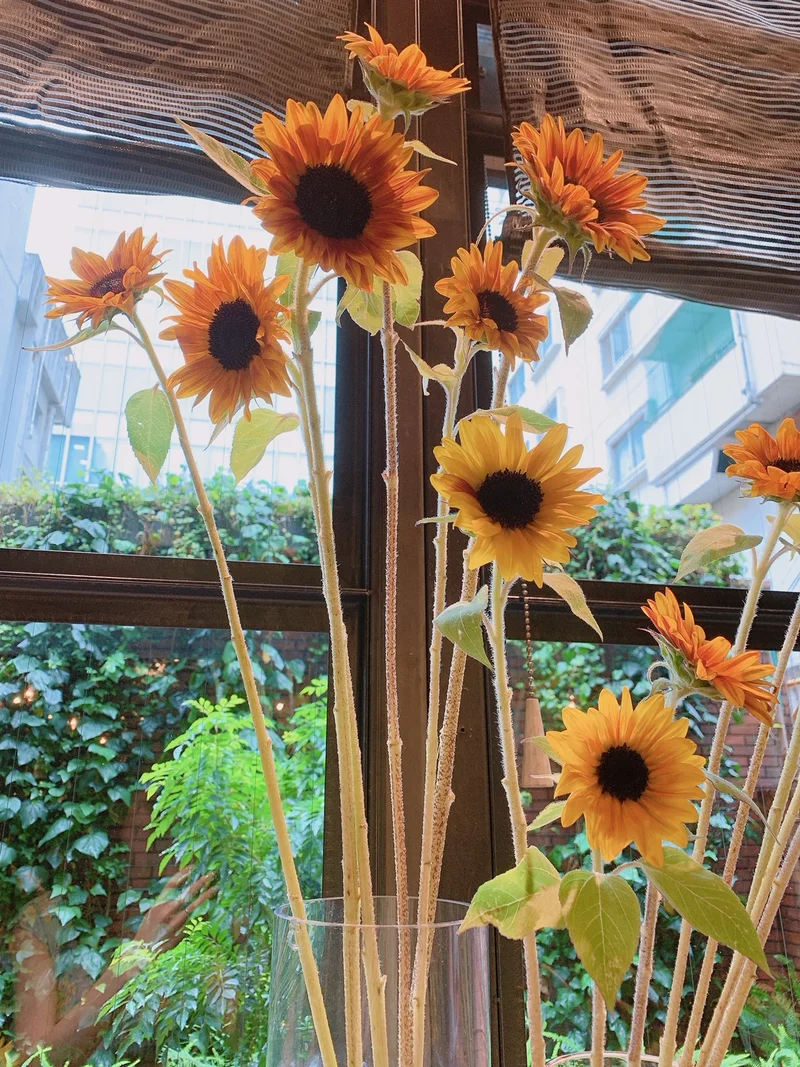 【おすすめカフェ】《季節のお花》に囲まれの画像_2