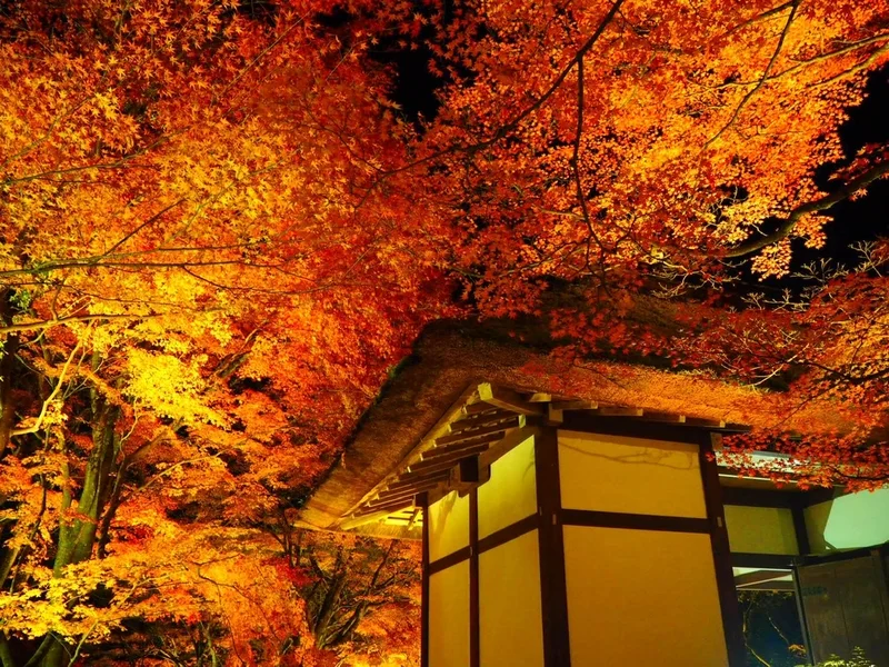 【女子旅におすすめ】京都で体験して最高だの画像_17