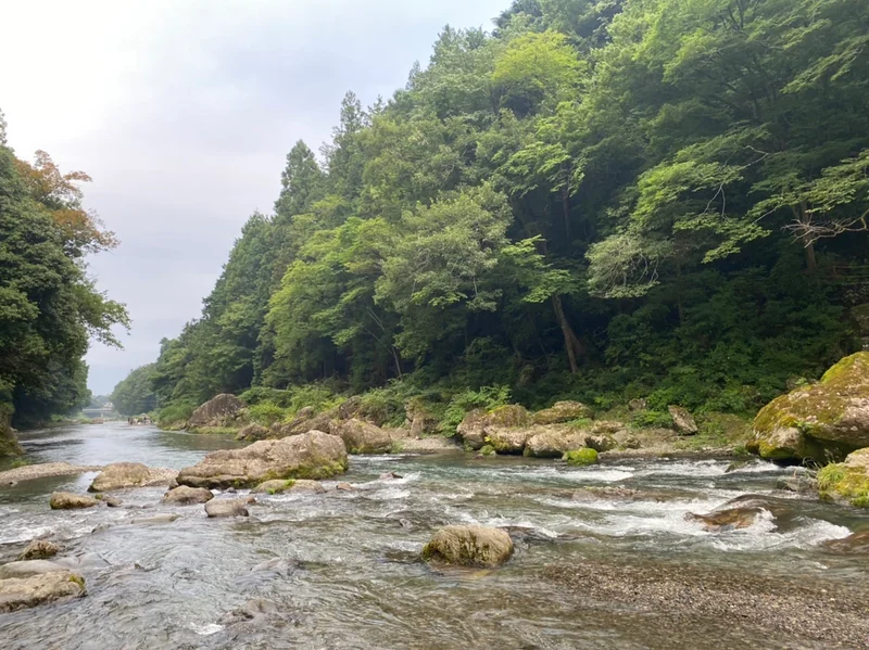 【関東日帰り旅】東京の大自然の中で味わうの画像_27