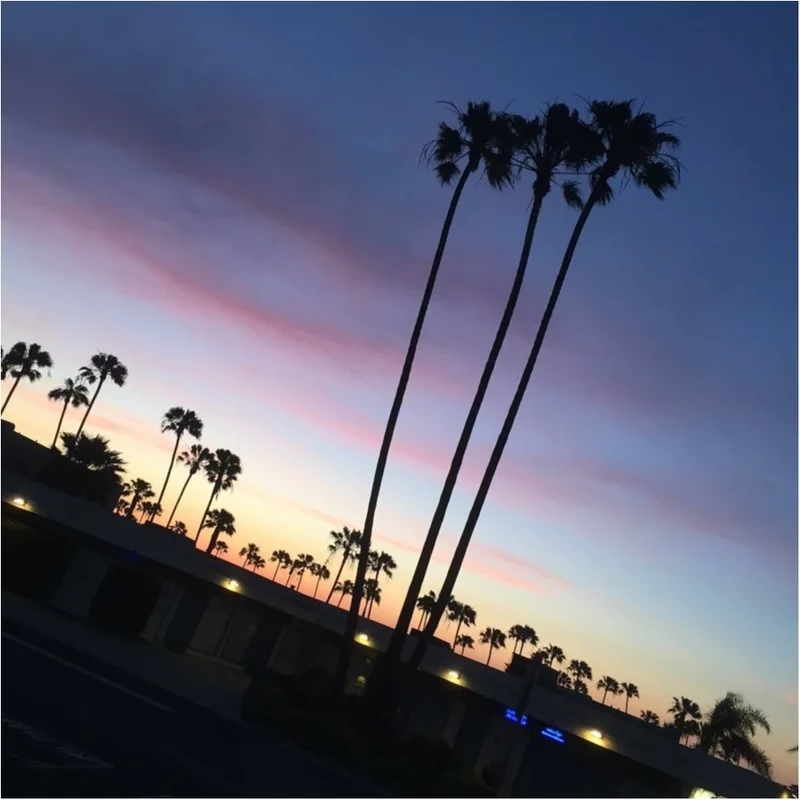 写真でも、きっと伝わるこの魅力✨朝から晩まで眺めた《＊ロサンゼルスの広い空＊》