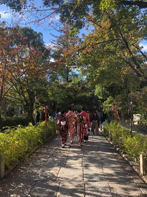 【京都】人気観光スポット 清水寺までの歩の画像_1
