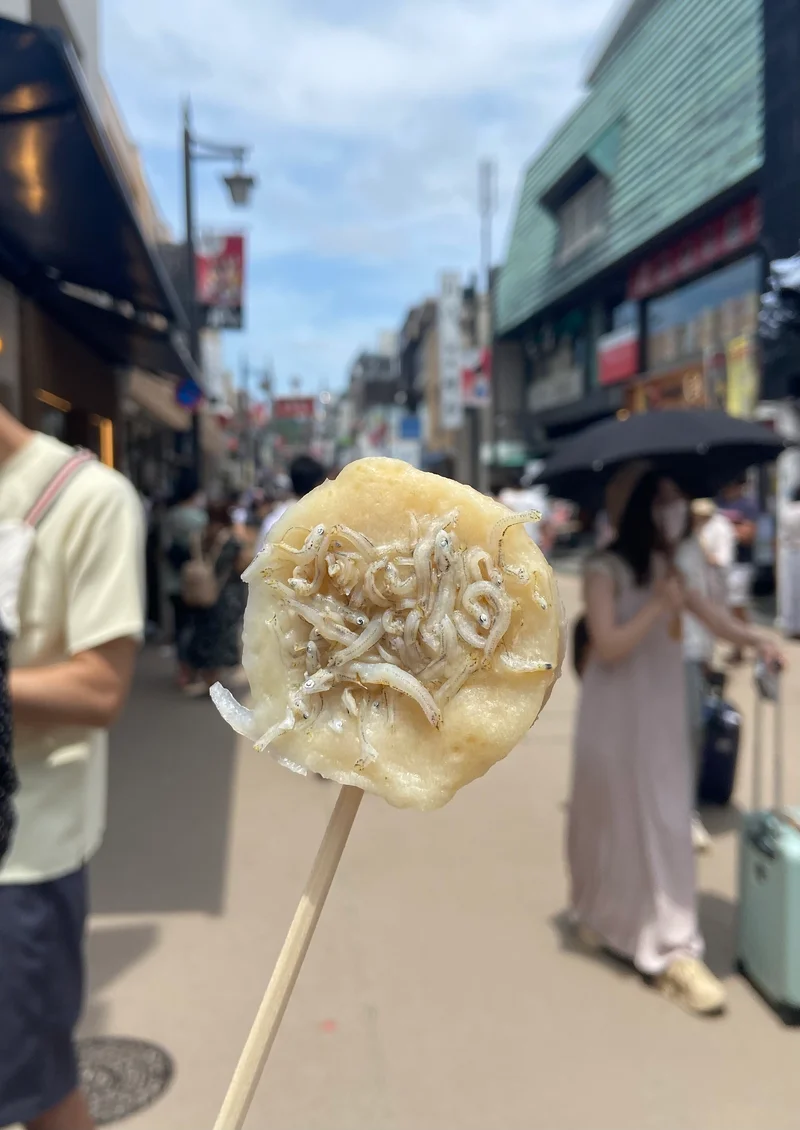 【鎌倉女子旅】紫陽花巡りと食べ歩き②の画像_1