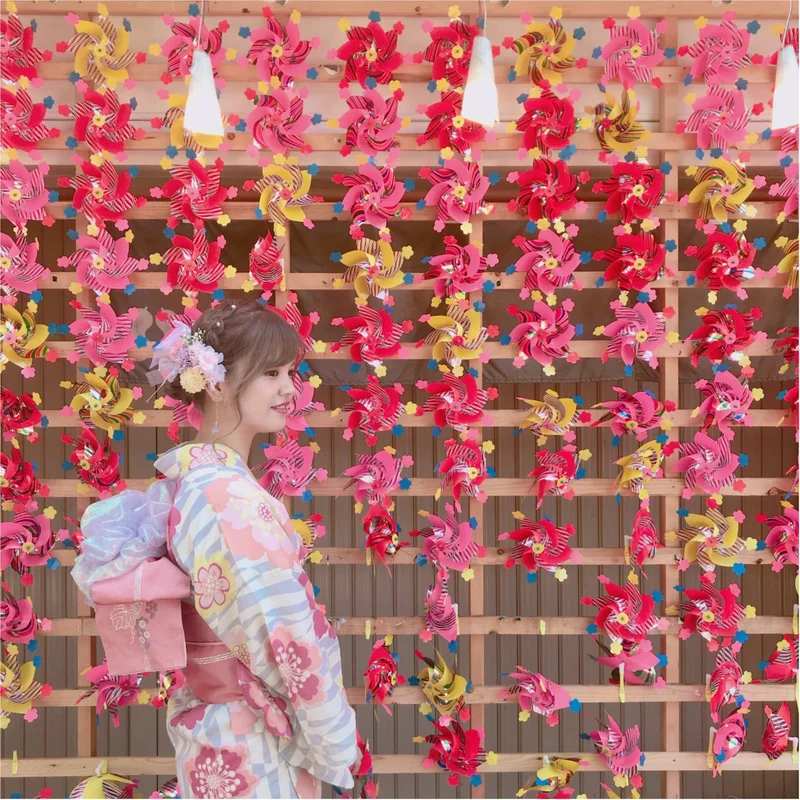 “美人祈願”ができる神社って？ 今週の「の画像_3