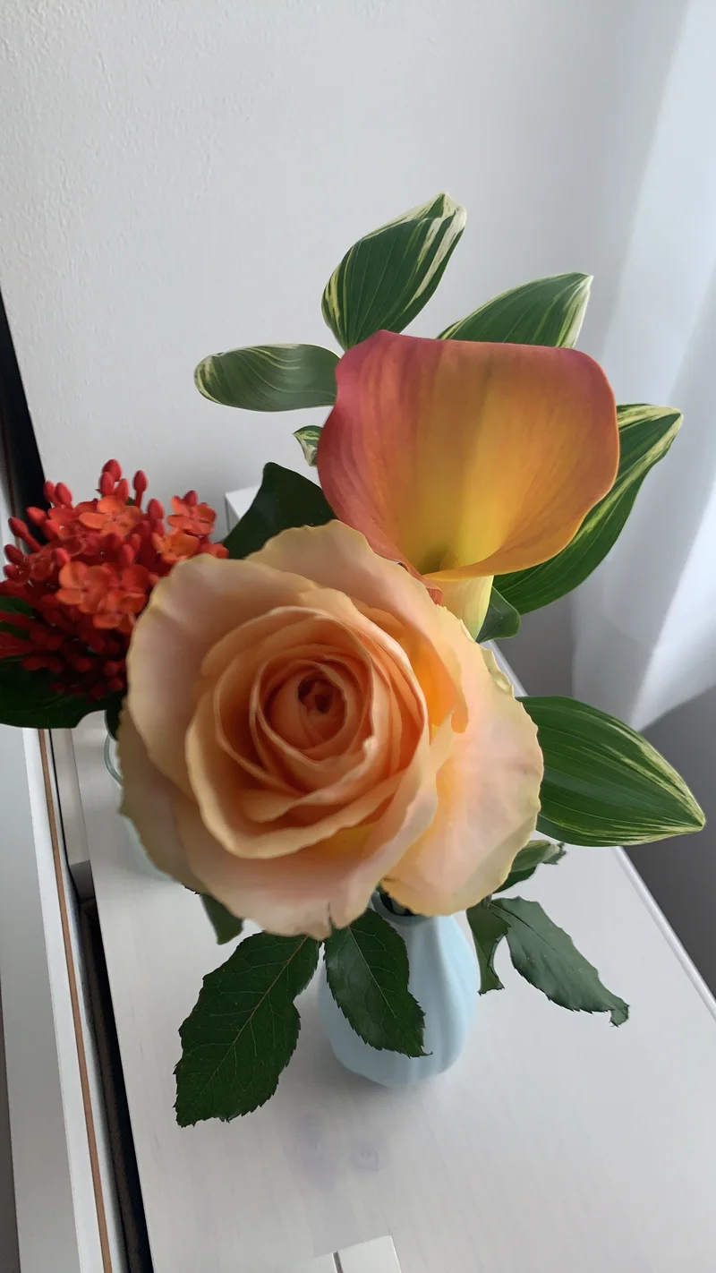 オレンジ色の別の種類の3本のお花が花瓶に刺さってる写真