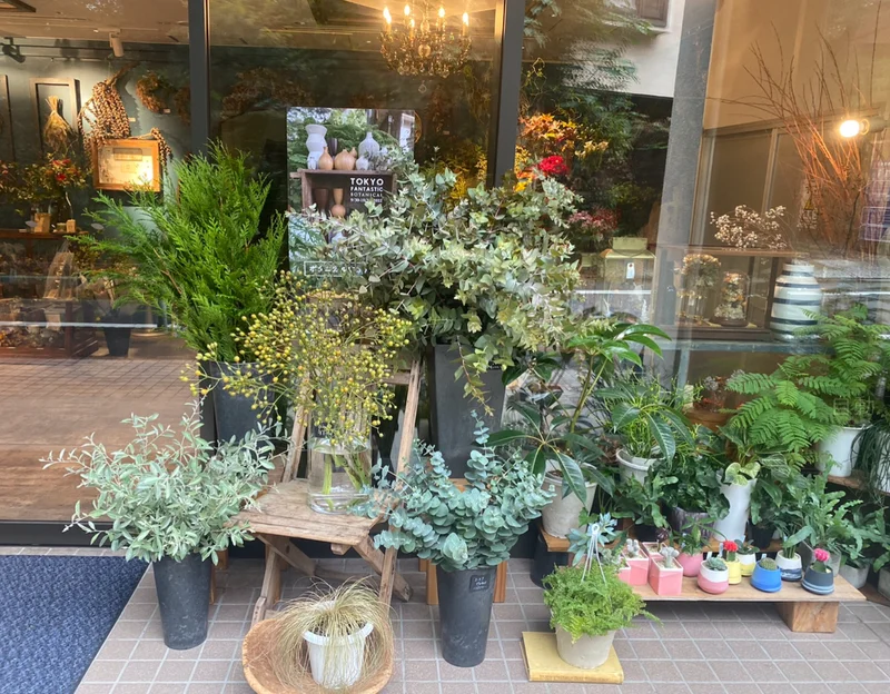茶珈堂　TOKYO FANTASTIC BOTANICAL表参道植物屋