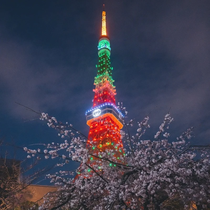『グッチ』が3／26（金）限定で東京タワーをライトアップ。お花見気分を味わって！