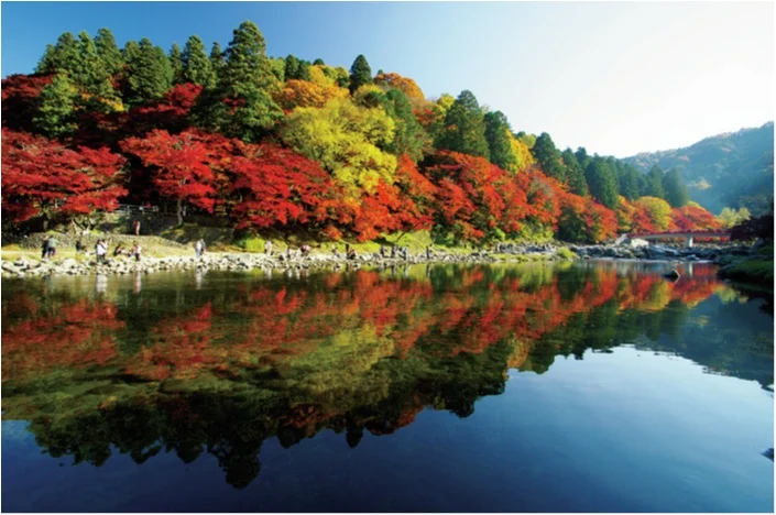 おいしいものてんこ盛り!! 愛知県名古屋の画像_5