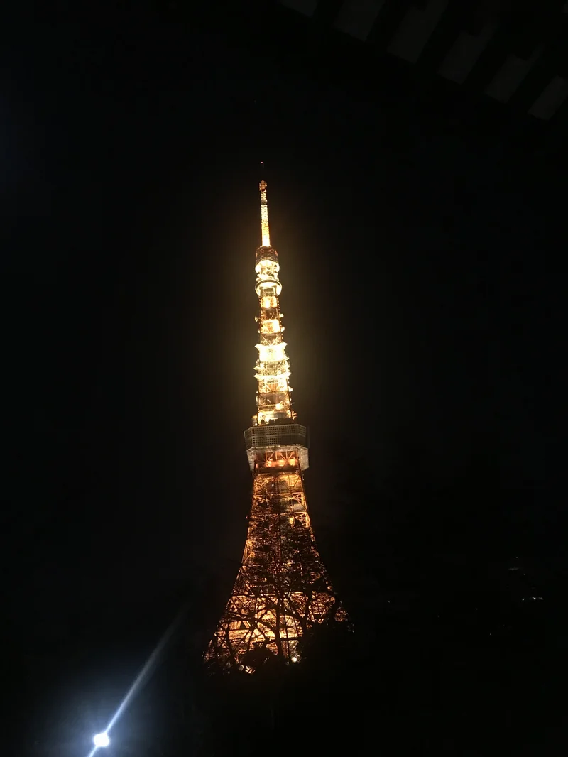 【東京タワー見ながら初詣】あけましておめの画像_2