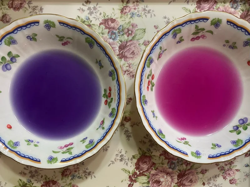 紫の液体が乗ってる皿とピンクの液体が乗っている皿